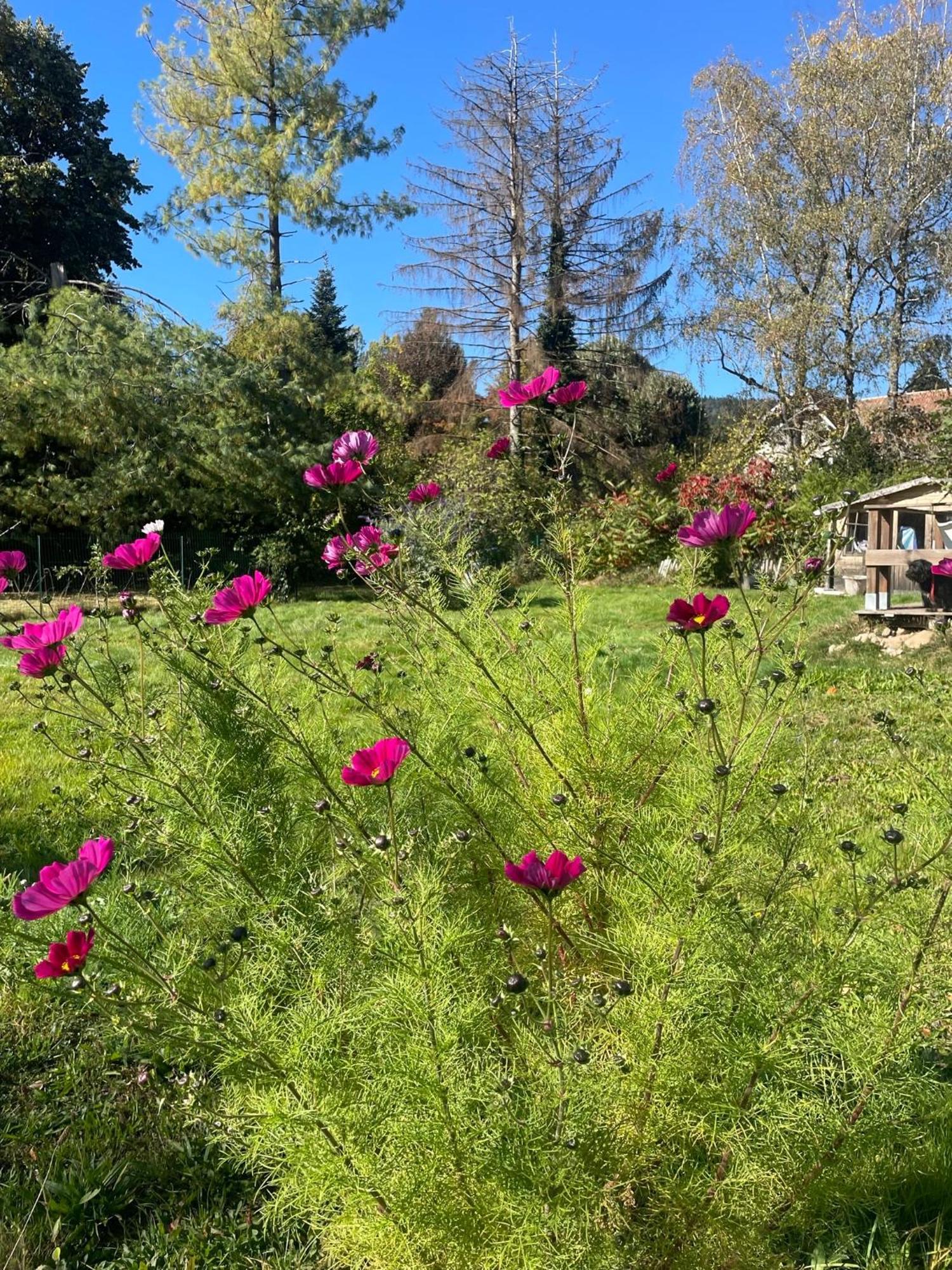 O Village Giromagny Dış mekan fotoğraf